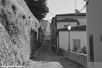 © Photo Andrea Magnani